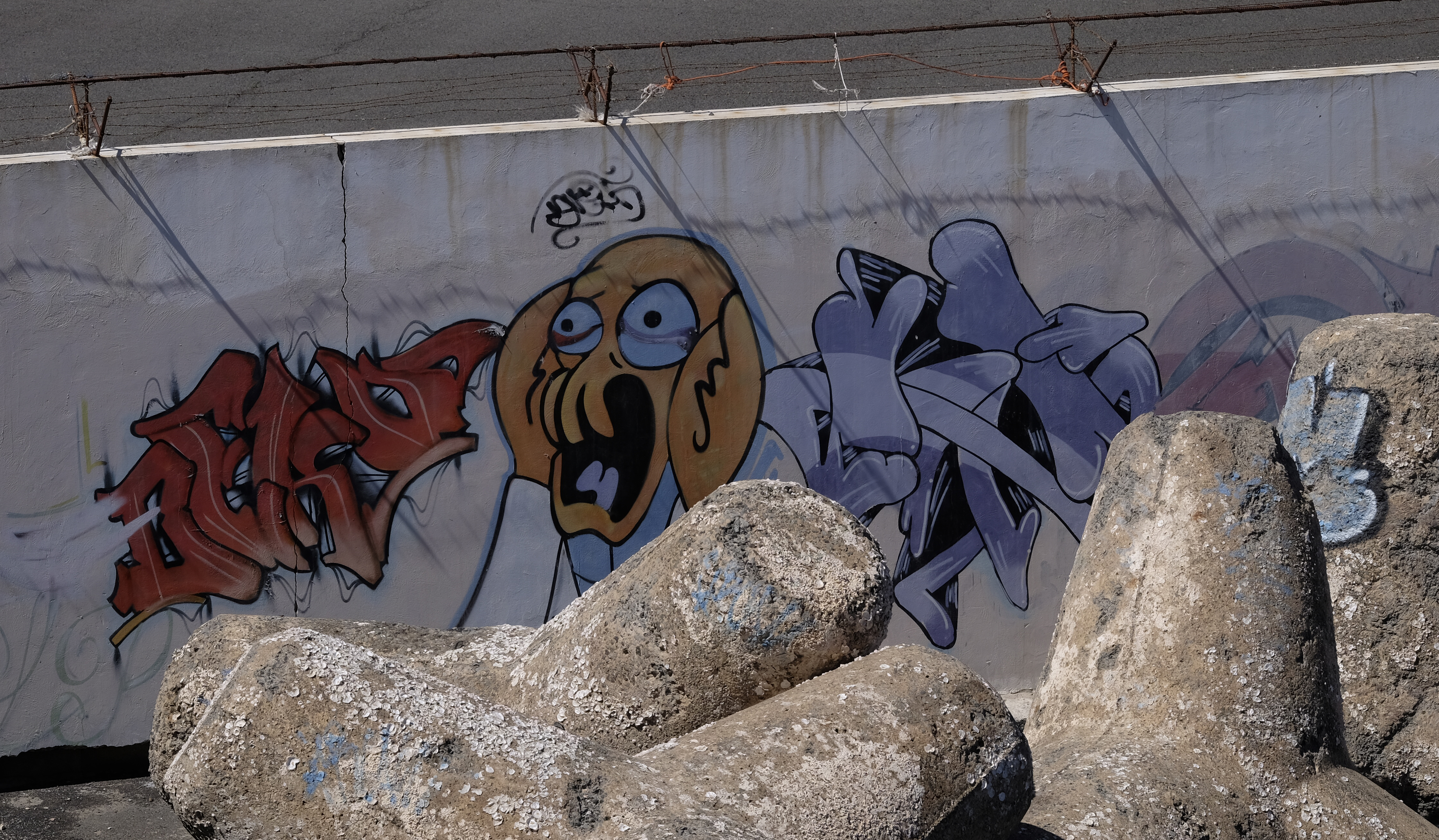 06b_DSF9254a