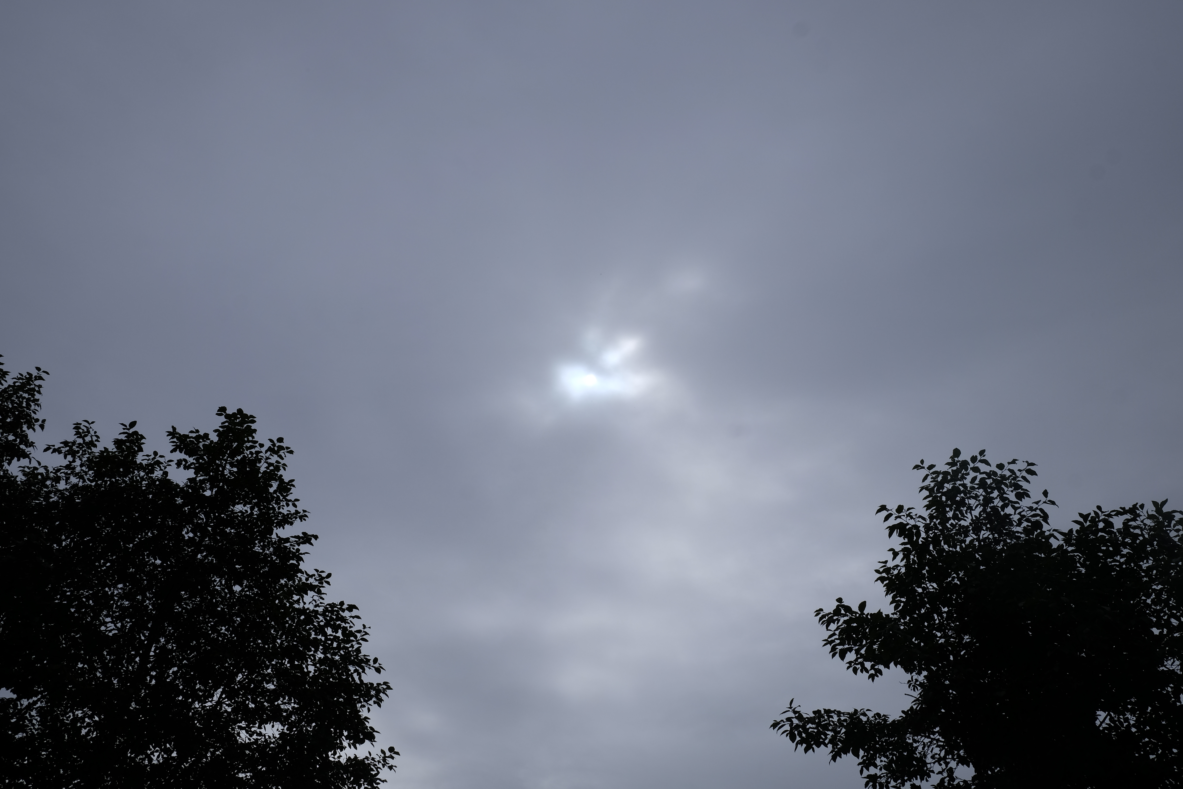 _DSF9949