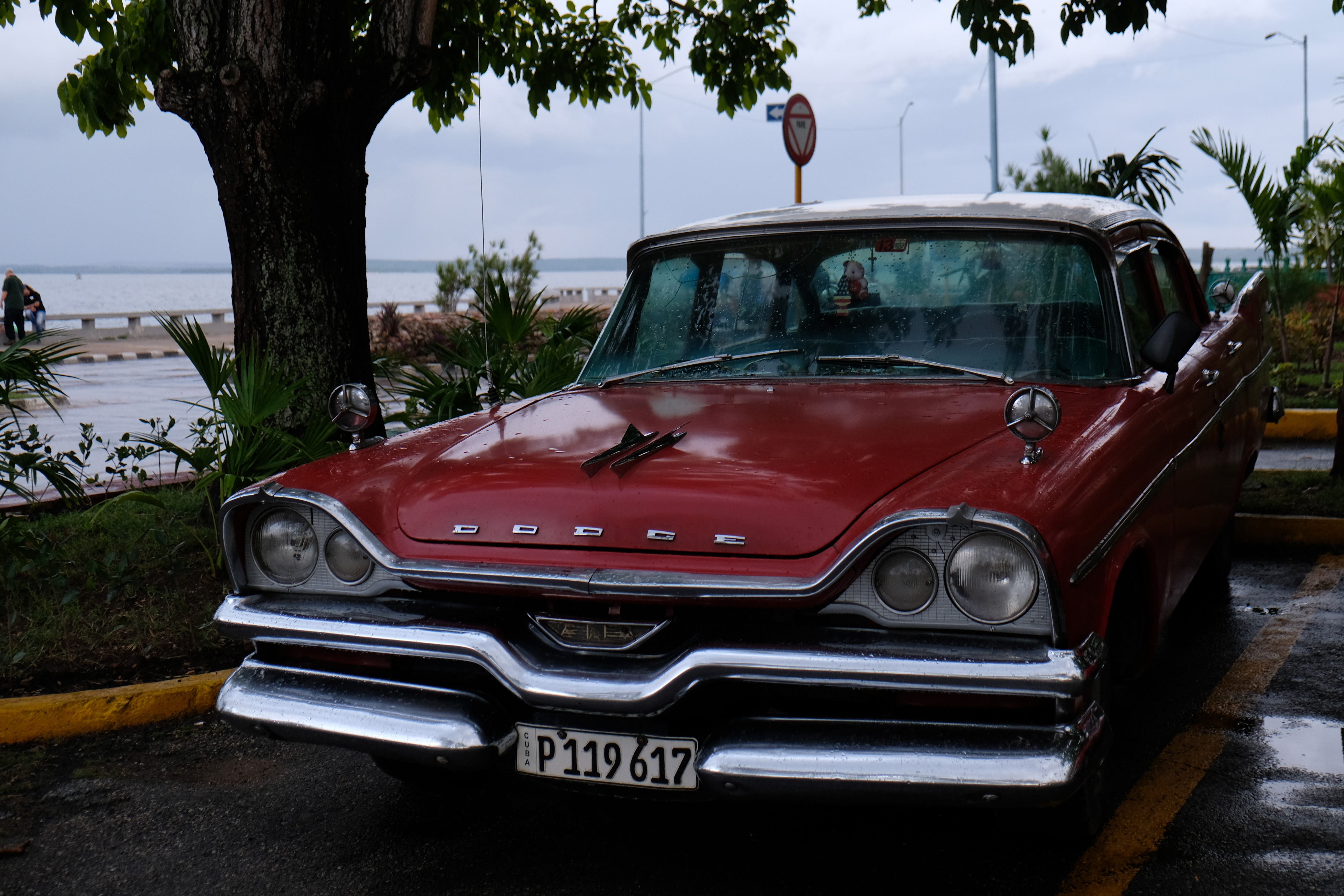 DSCF0987a