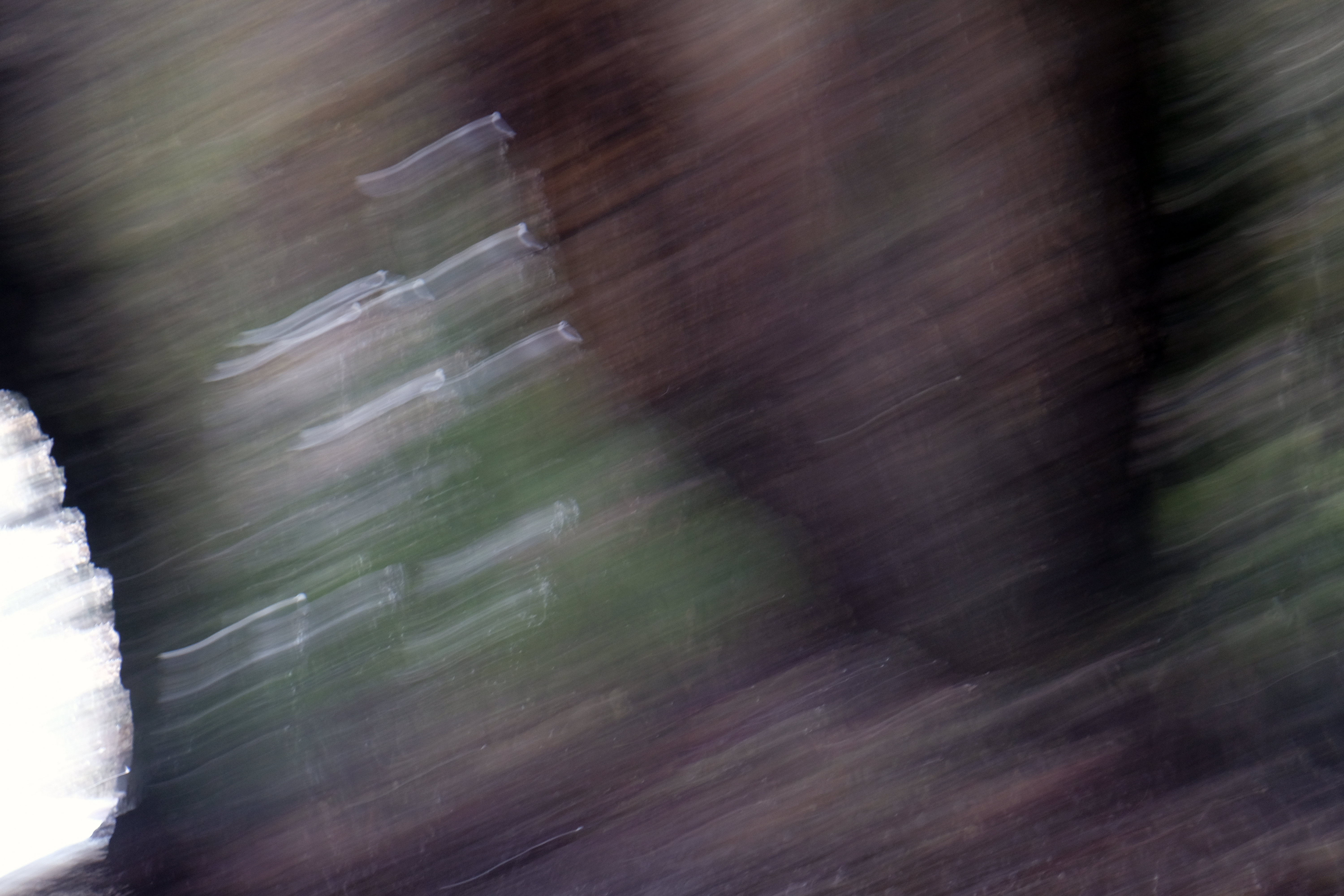 DSCF7142a