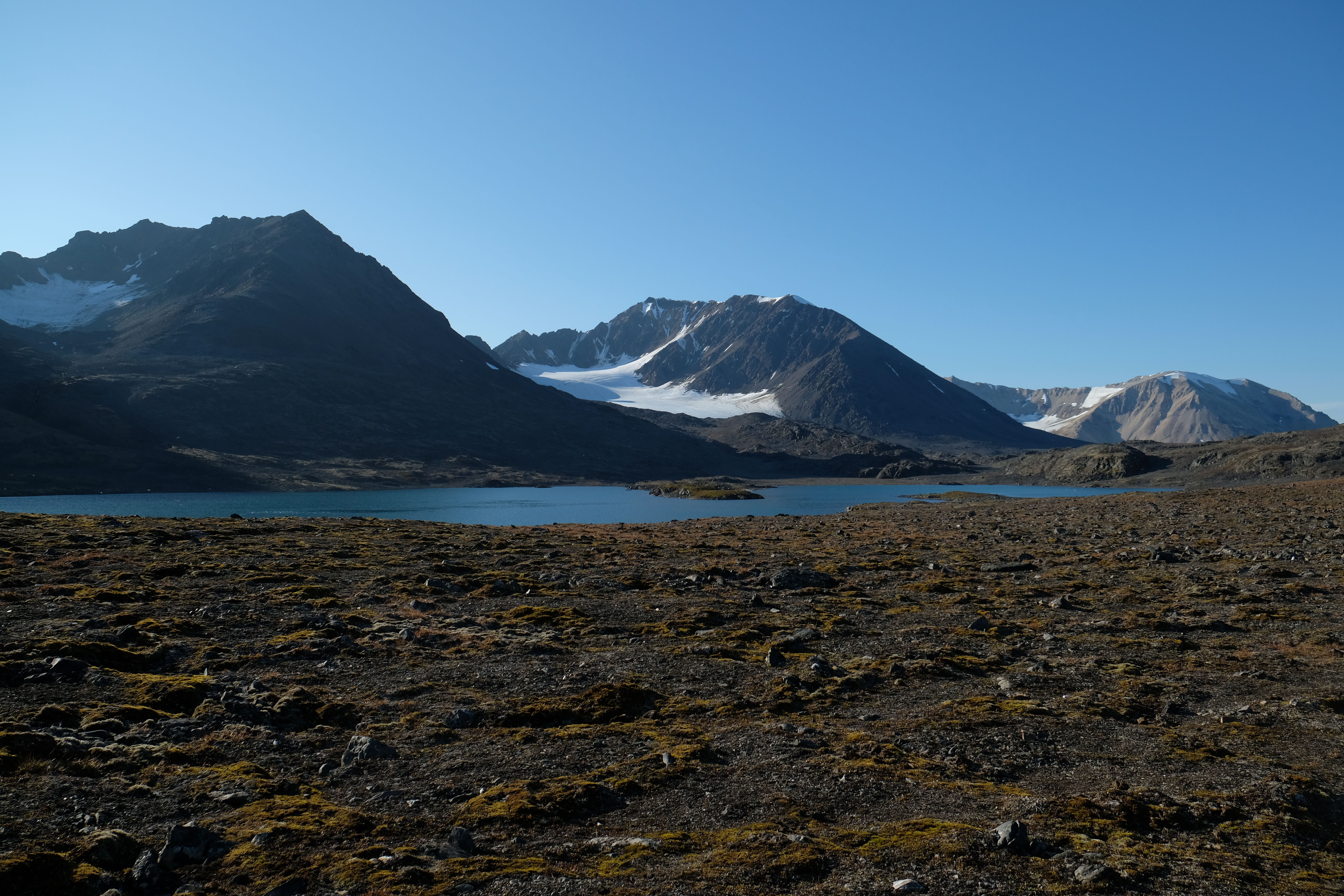 DSCF8251.JPG