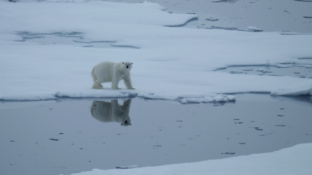 Svalbard