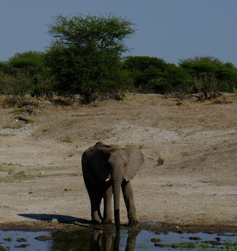 Namibia