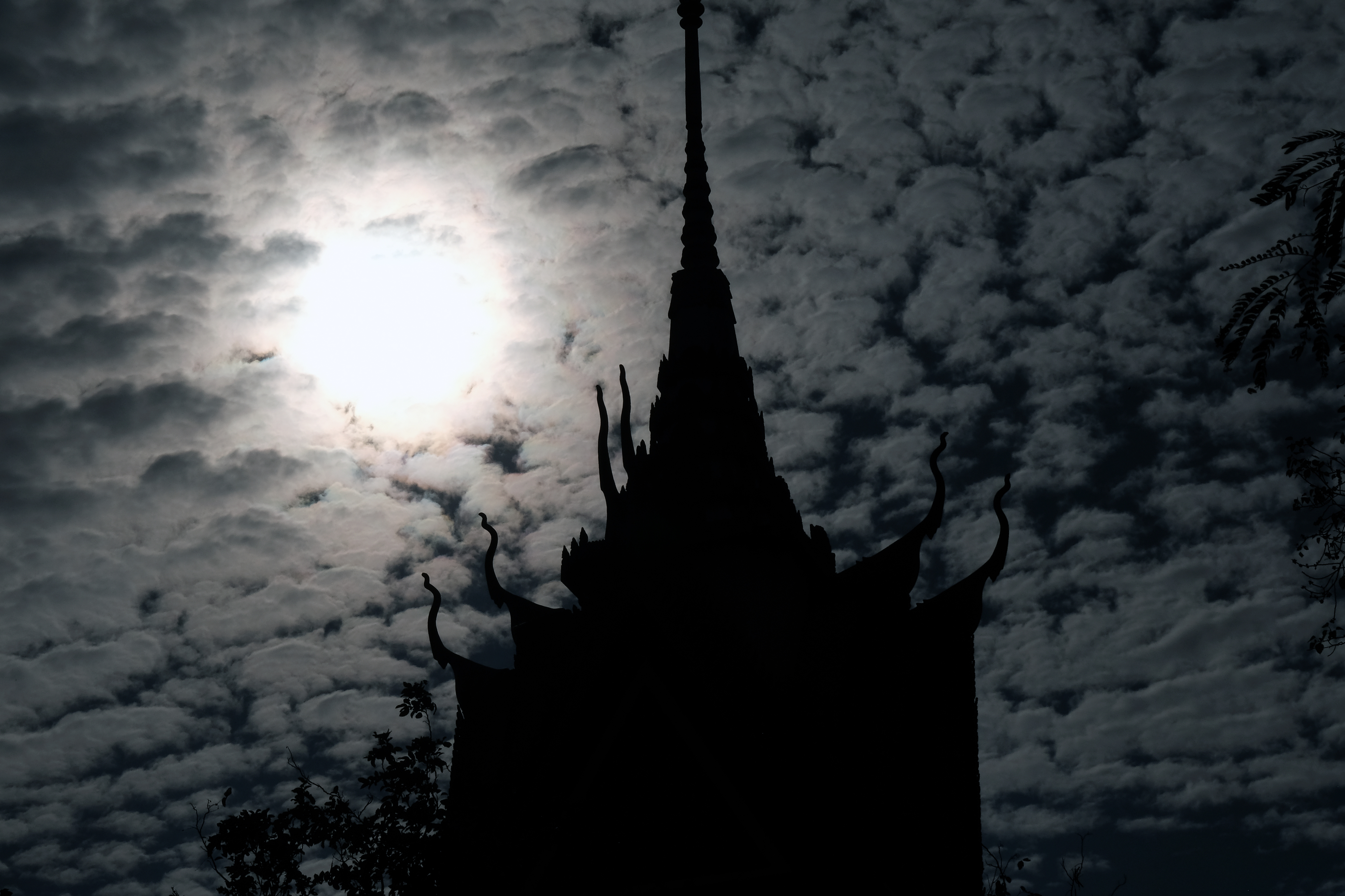 DSCF6497a